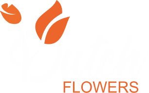 Dutchflowers