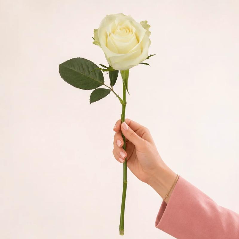 10 witte rozen van 50 cm