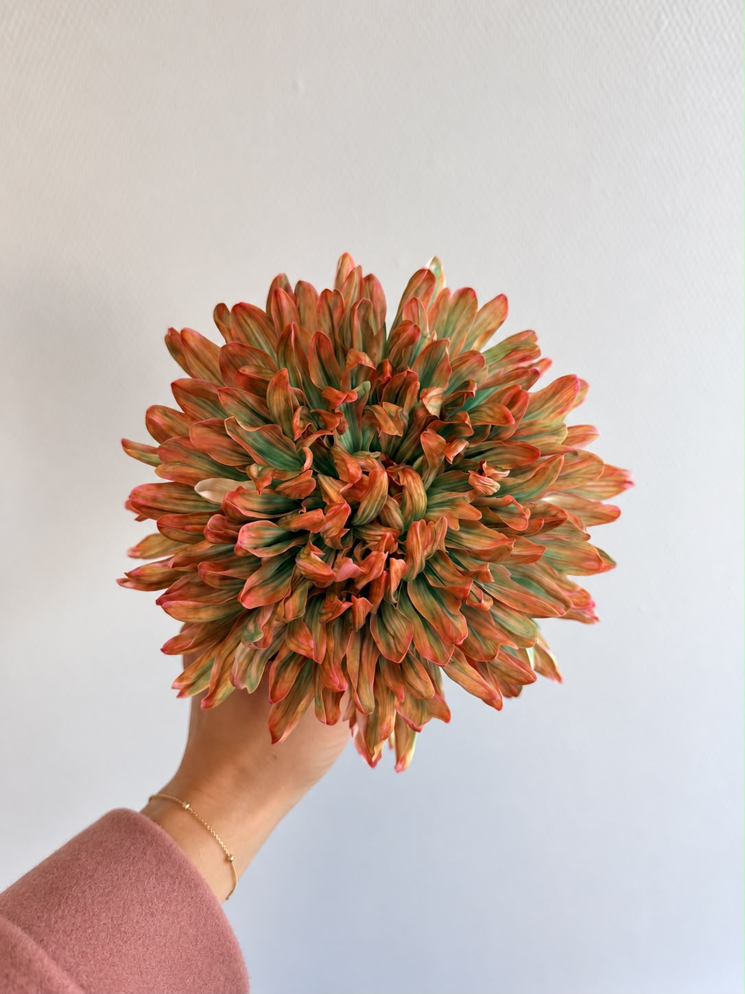 Moderne chrysanten: zo maak je een stijlvol boeket zonder groen